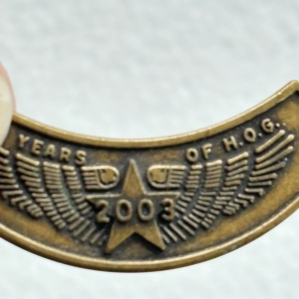 Vintage 2003 Harley-Davidson H.O.G. Owners Group 20 Years Commemorative Pin Back